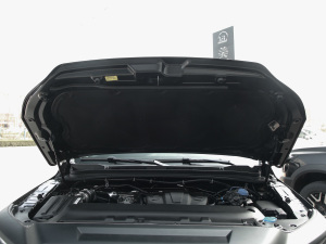 2021款2.0T 手动四驱精英型标双 柴油 其它