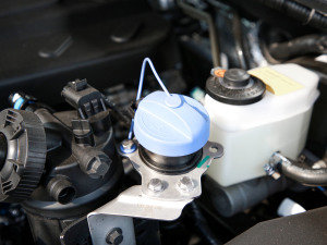 20212.0T ք򌾫Ӣʹp  