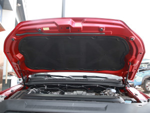 2021款2.0T 手动四驱精英型大双 柴油 其它