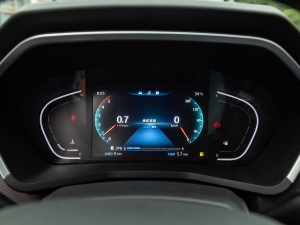 2021款2.0T 手动两驱精英型大双 柴油 仪表
