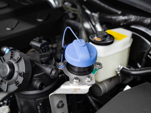 20212.0T քӃ򌾫Ӣʹp  