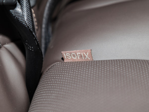 20212.0T ɽ؈ք򌾫Ӣʹp  g