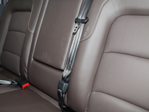 20212.0T ɽ؈ք򌾫Ӣʹp  g