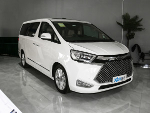 2021款2.0T 自动豪华型 整体外观