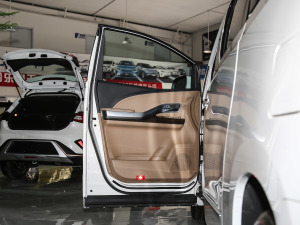 2021款2.0T 自动豪华型 驾驶位车门