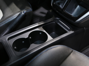 2022PLUS ˼Ұ 1.5T (bio)(zhn) g