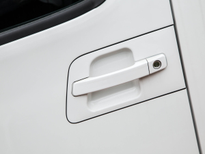 2022PLUS ˼Ұ 1.8L (bio)(zhn) {T