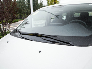 2022PLUS ˼Ұ 1.8L (bio)(zhn) ˢ