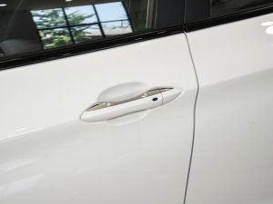 2023款1.5T 自动豪华型 主驾门拉手