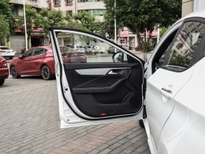 2023款1.5T 自动尊贵型 驾驶位车门