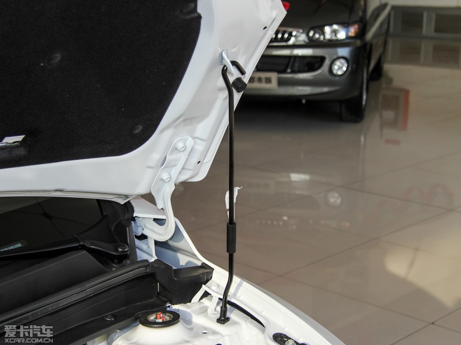 2015iEV5 (bio)(zhn)