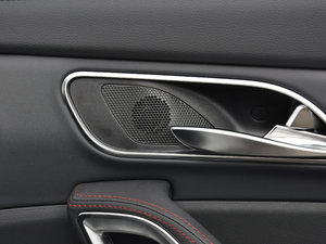 20171.5TGDI DCTA 5 g