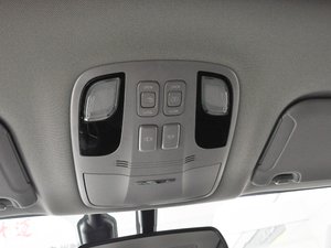 20171.5TGDI DCTA 5 g