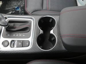 20171.5TGDI DCTA 5 g