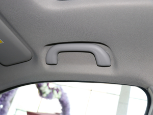 20171.5TGDI քӺA 5 g