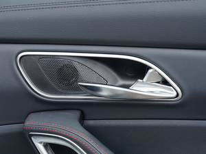 20171.5TGDI DCTA 5 g