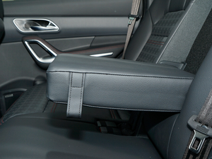 20171.5TGDI DCTA 5 g