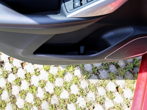 20181.6L քӺA 6/7 ǰTg