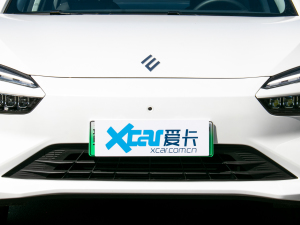 2021款500km 光耀豪华 长续航版 中网