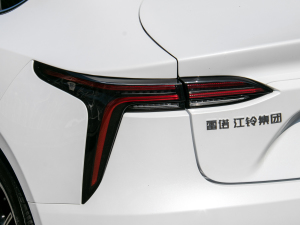 2021款500km 光耀豪华 长续航版 尾灯