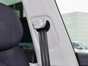 202390kWh Elite(q) g