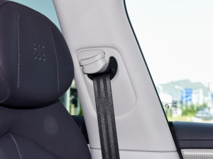 202390kWh Elite(q) g