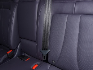 202390kWh Elite(q) g