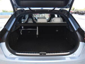 2021Lmp늙C YOU g