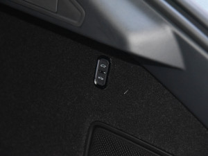 2021Lmp늙C YOU g