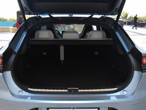 2021Lmp늙C YOU g