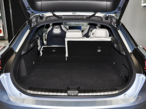 2022Lmp늙C YOU g