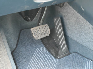 2023�����YOU�� 5�� ���g����