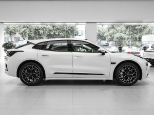 2024WE 100kWh (q) w^