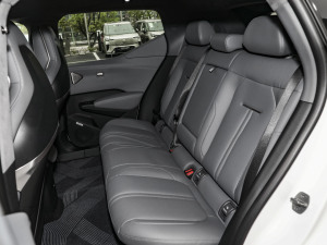 2025���������� ���g����