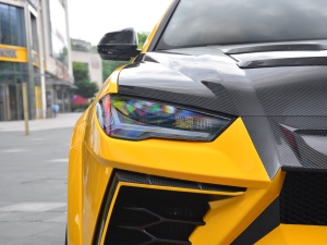 20214.0T V8 (bio)(zhn) (ji)^