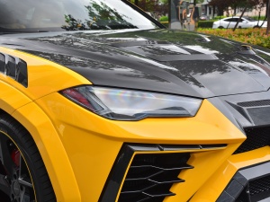 20214.0T V8 (bio)(zhn) (ji)^