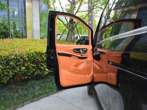 2021款2.0T Y燿影 驾驶位车门