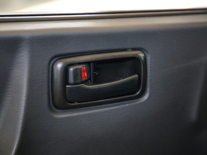 2020 2.0L (bio)(zhn)61TZS VI g