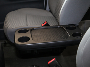 2020 2.0L (bio)(zhn)61TZS VI g