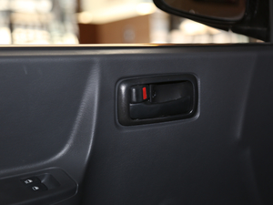 2020 2.0L A101TZS VI g