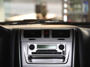 2020 2.0L A101TZS VI {(dio)L(fng)