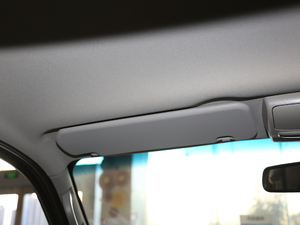 2020\ 2.0L A9V19 V g