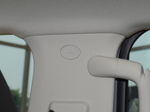 2021а 2.0T  п؅^(q)