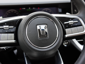 20223.0T ̄հ Ƿ 7 п؅^(q)