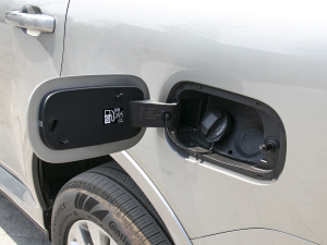 20223.0T \Ӱ 쾳 5 w