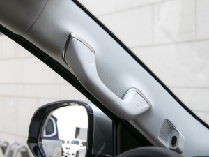 20223.0T \(yn)(dng) 쾳 5 g