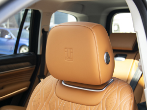 20223.0T \(yn)(dng) 쾳 5 g