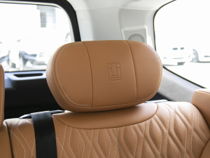 20223.0T \(yn)(dng) 쾳 5 g