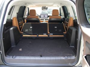 20223.0T \(yn)(dng) 쾳 5 g