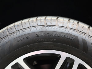 20223.0T \(yn)(dng) Ƿ 5 ݆̥ߴ